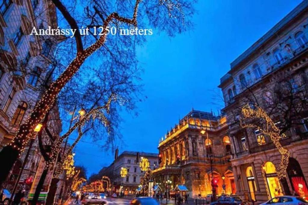 Keleti Apartment City Center Big Flat Bedroom Private Use 부다페스트 외부 사진